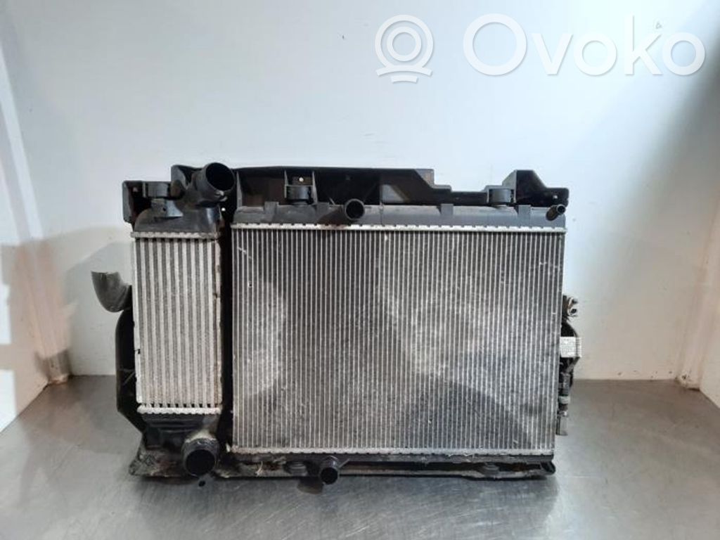 Peugeot 407 Kit Radiateur 