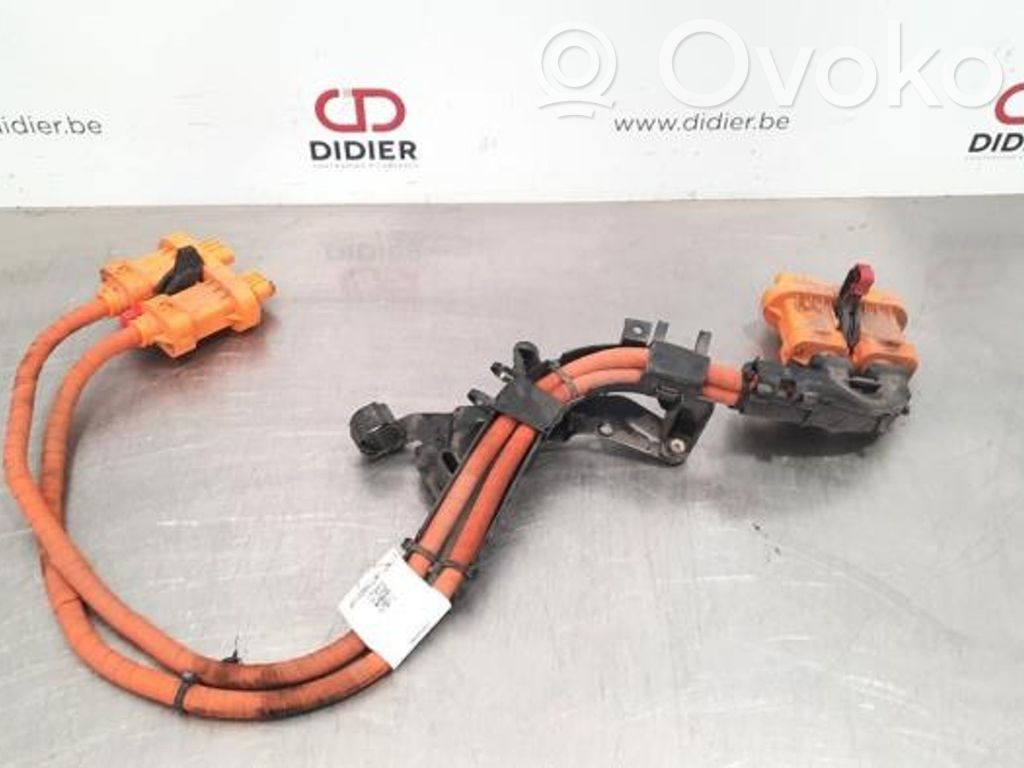 Câble haute tension   1EA971015AA