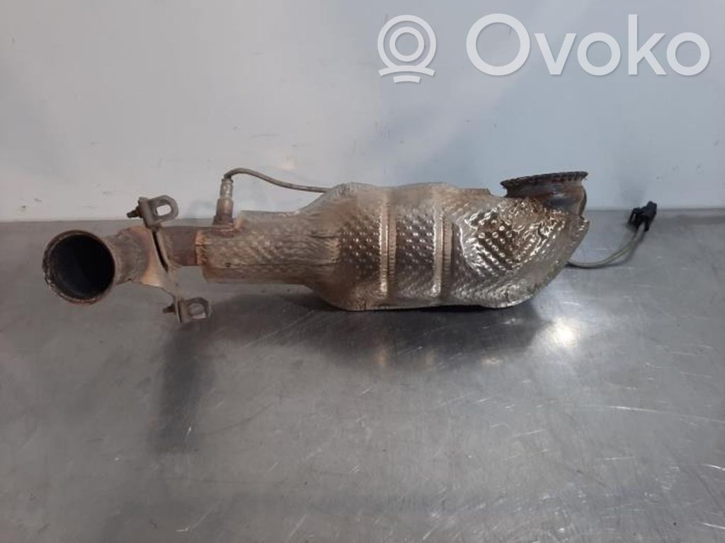Citroen C3 Filtro antiparticolato catalizzatore/FAP/DPF 