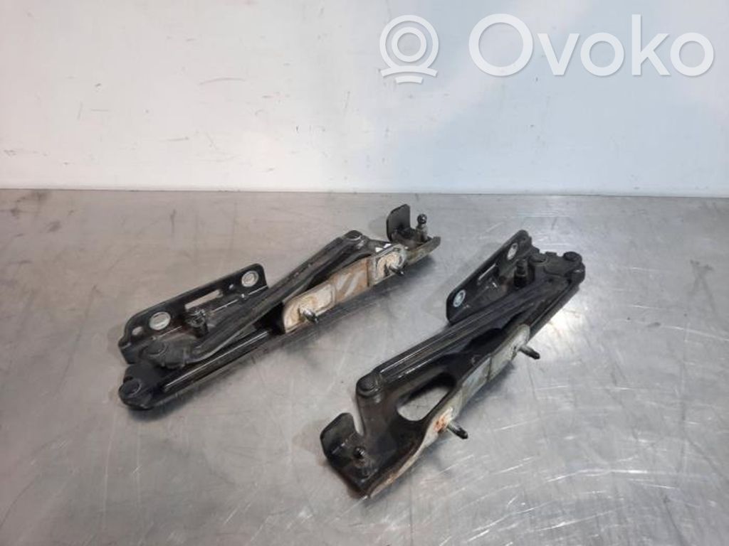Peugeot 407 Tailgate/trunk/boot hinge 