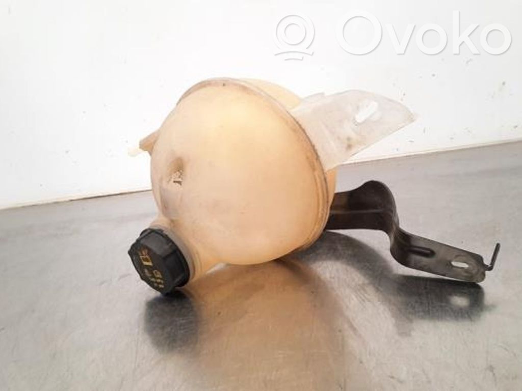 Ford Transit Custom Aušinimo skysčio išsiplėtimo bakelis 