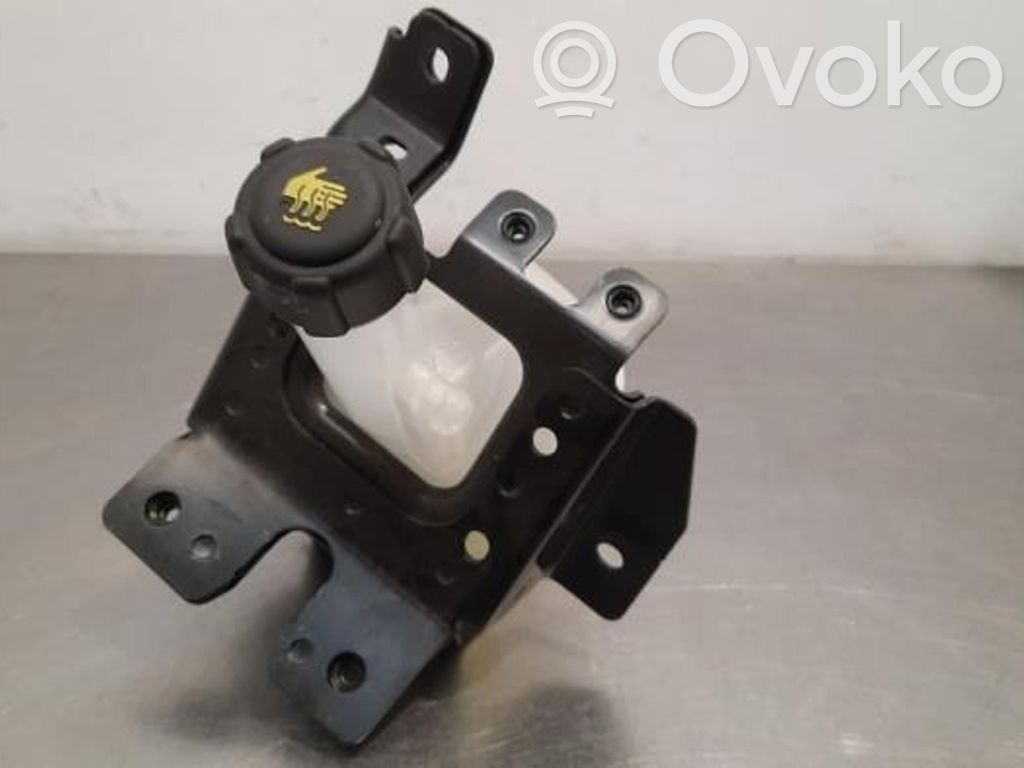 Renault Clio V Vas expansiune/rezervor lichid de răcire 