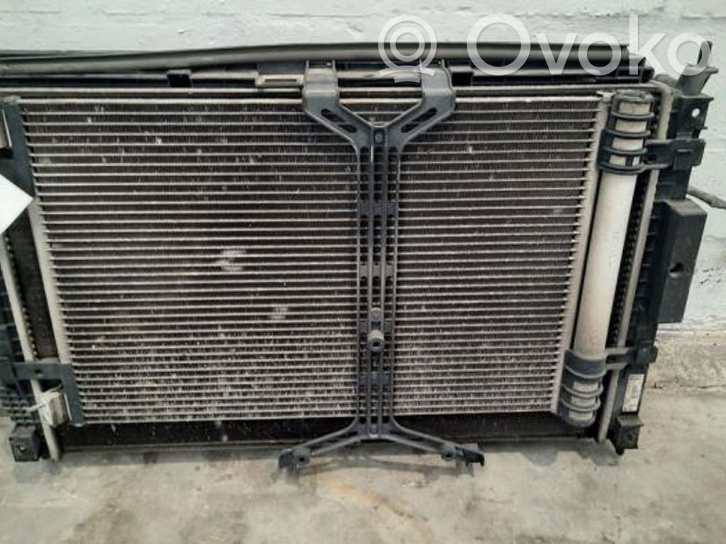 Radiator set   9836638080,9836638080,9806313580,9817275680