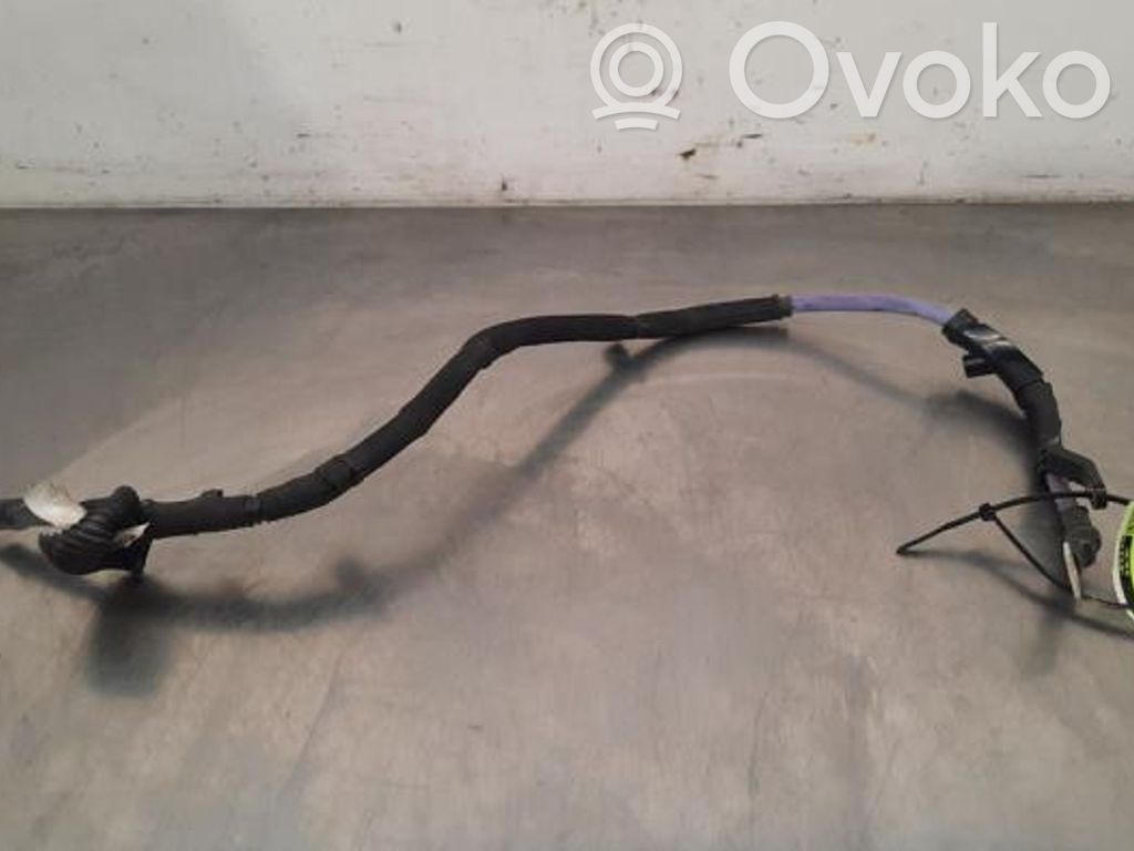 Audi RS6 C8 Cable negativo de tierra (batería) 