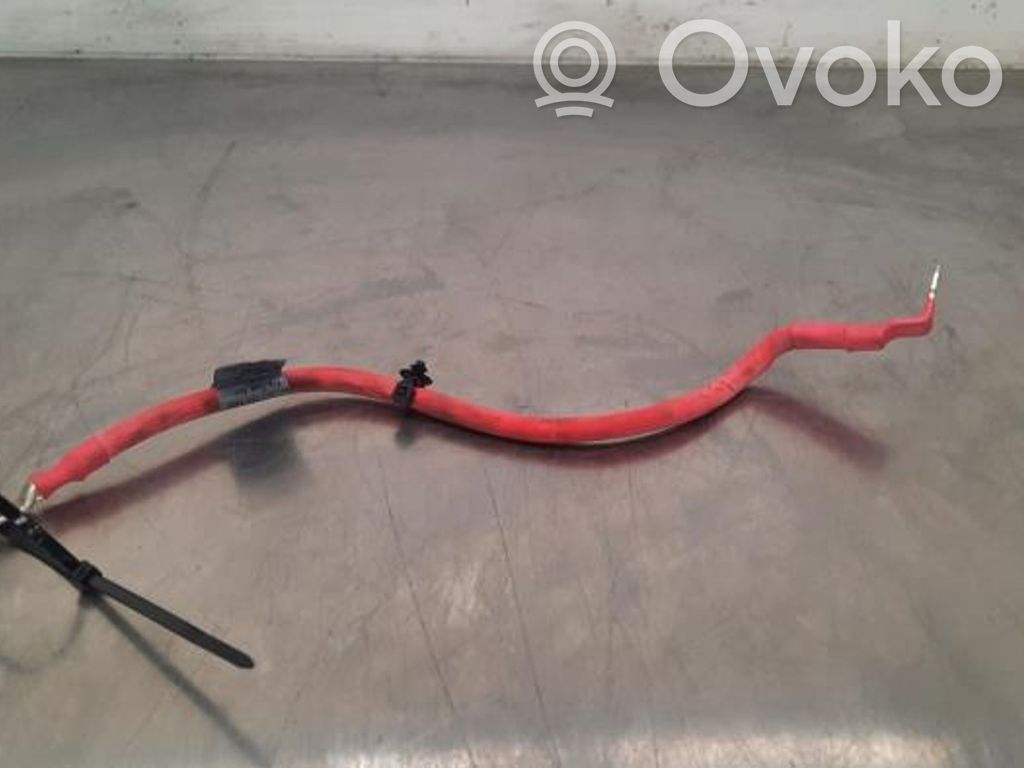 Jaguar F-Type Cablu cu bornă negativă (baterie) 