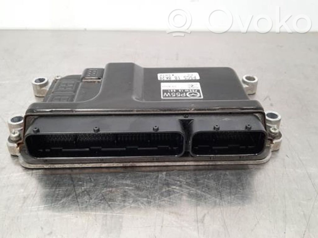 Engine control unit/module   P55W18881,P5CS188K2E,P5CS188K2E