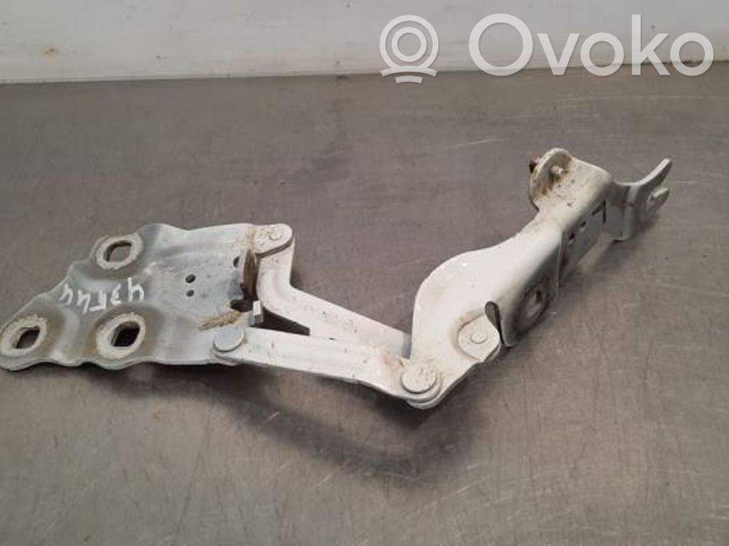 BMW X4 F26 Cerniere del vano motore/cofano