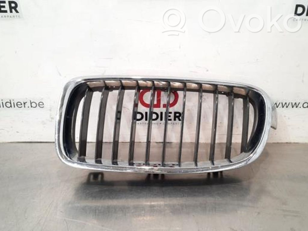 BMW 3 F30 F35 F31 Grilă radiator față 