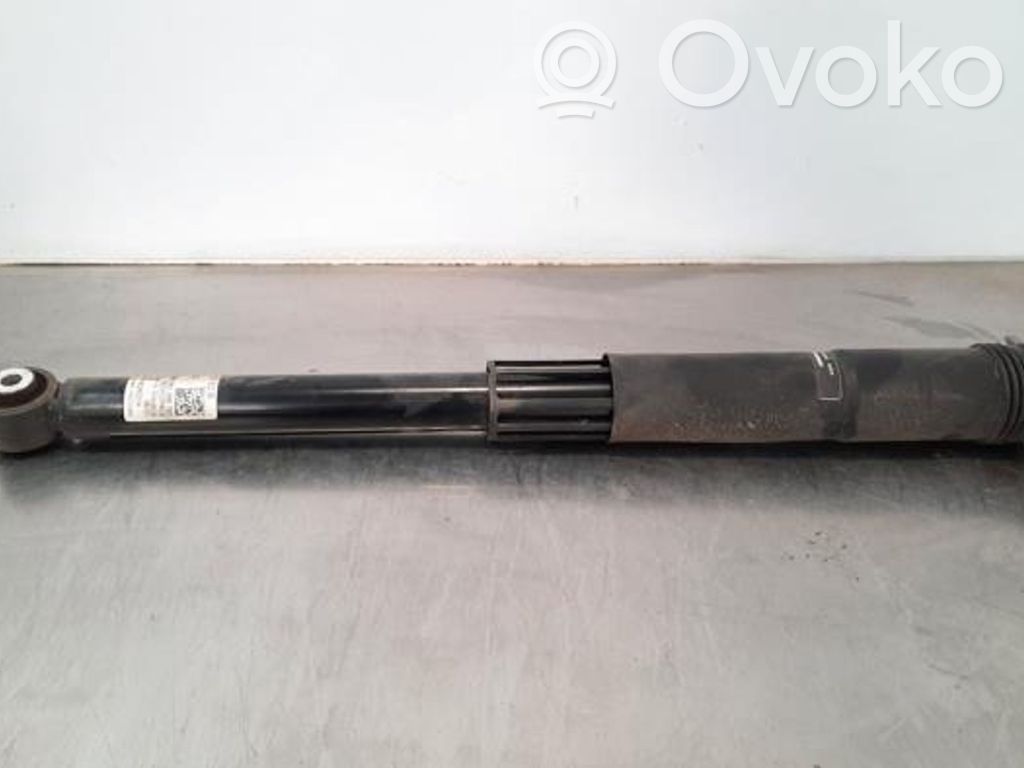 Amortizor spate   2Q0512013DA