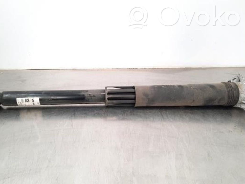 Amortizor spate   2Q0513049AK,2Q0513049AK