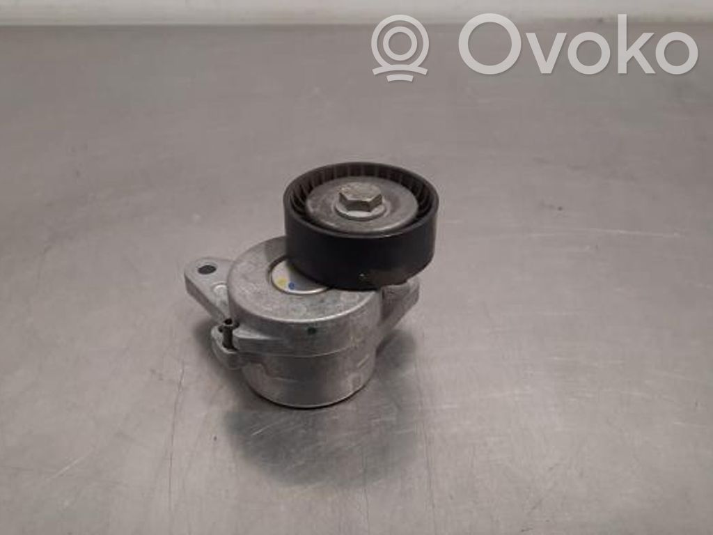 Skoda Kodiaq Întinzător curea alternator 
