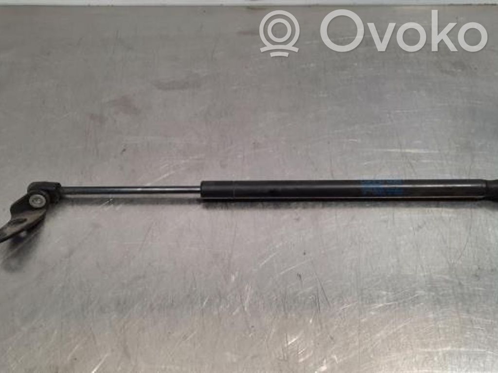 Tesla Model S Ammortizzatore portellone anteriore/cofano