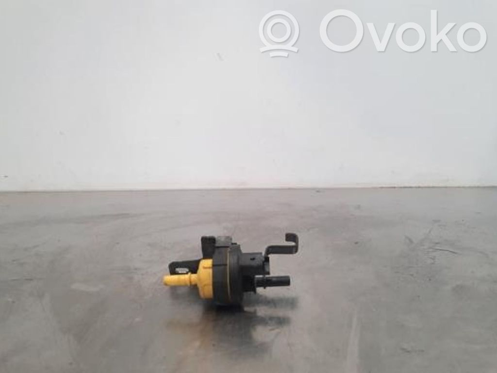 Renault Clio V Pompa a vuoto 