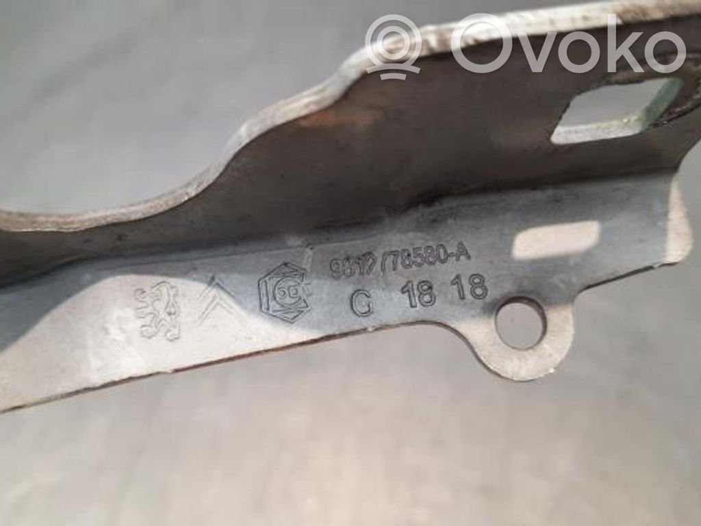 Citroen C3 Engine bonnet/hood hinges 