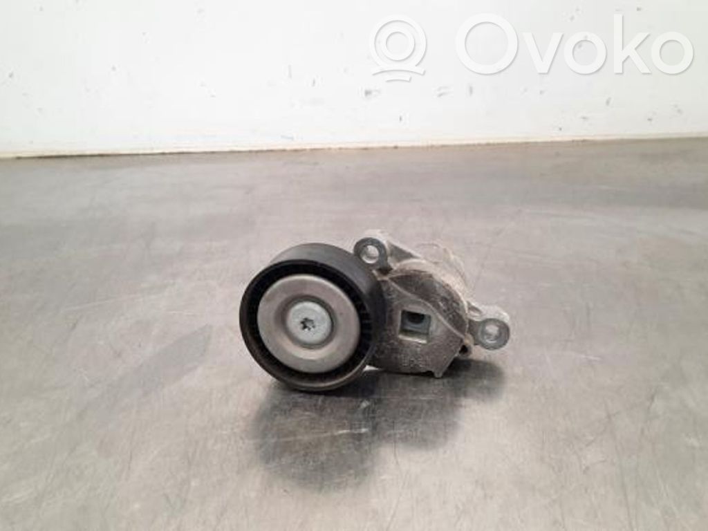 Ford Fiesta Generatoriaus diržo įtempėjas 