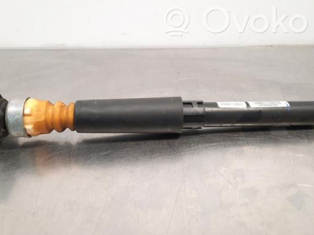 Stoßdämpfer hinten