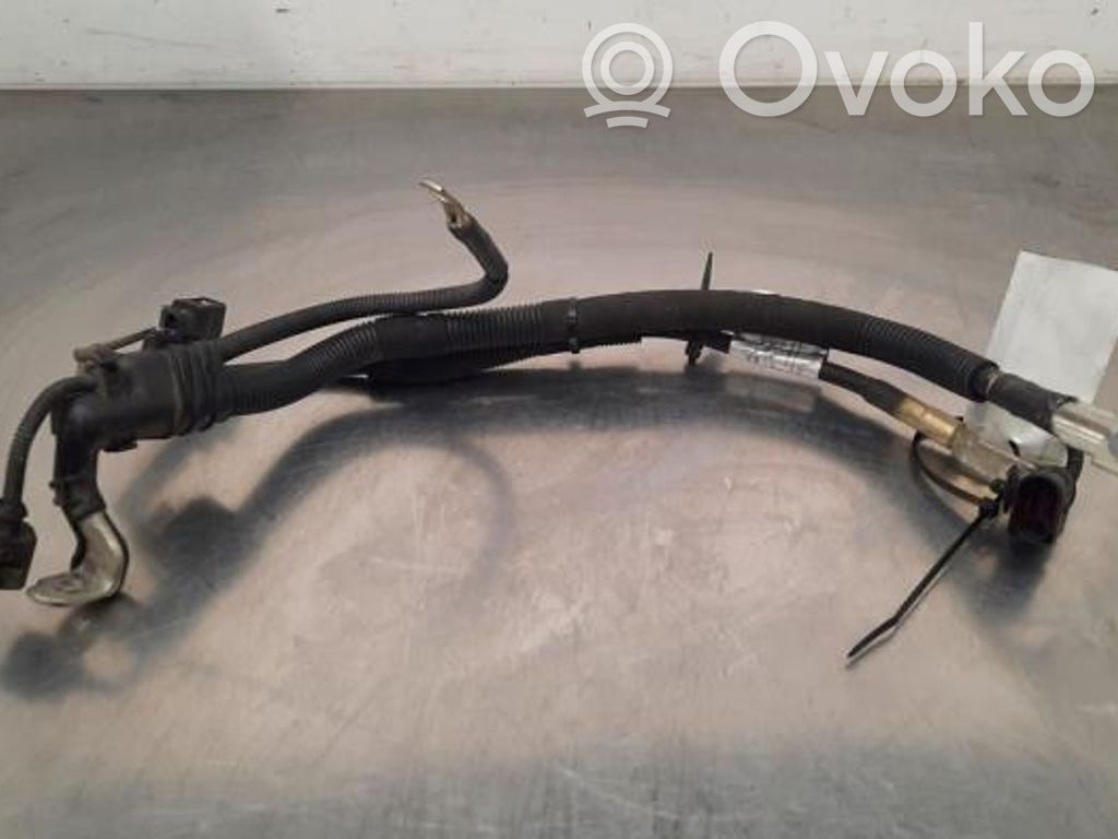 Porsche Macan (95B) Cavo negativo messa a terra (batteria) 