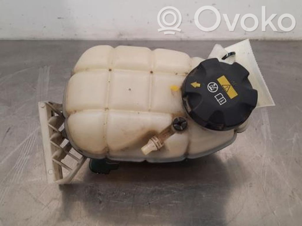 BMW 3 F30 F35 F31 Vas expansiune/rezervor lichid de răcire 