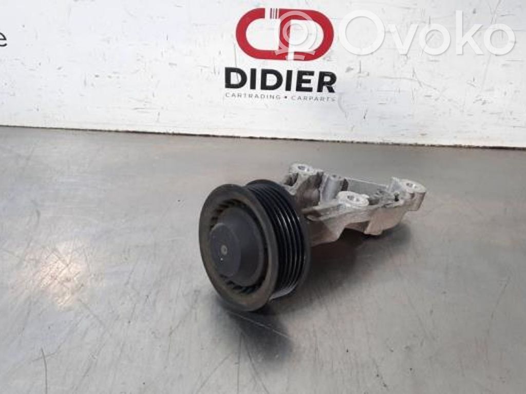 Land Rover Range Rover Sport L494 Napinacz paska wielorowkowego / Alternatora 