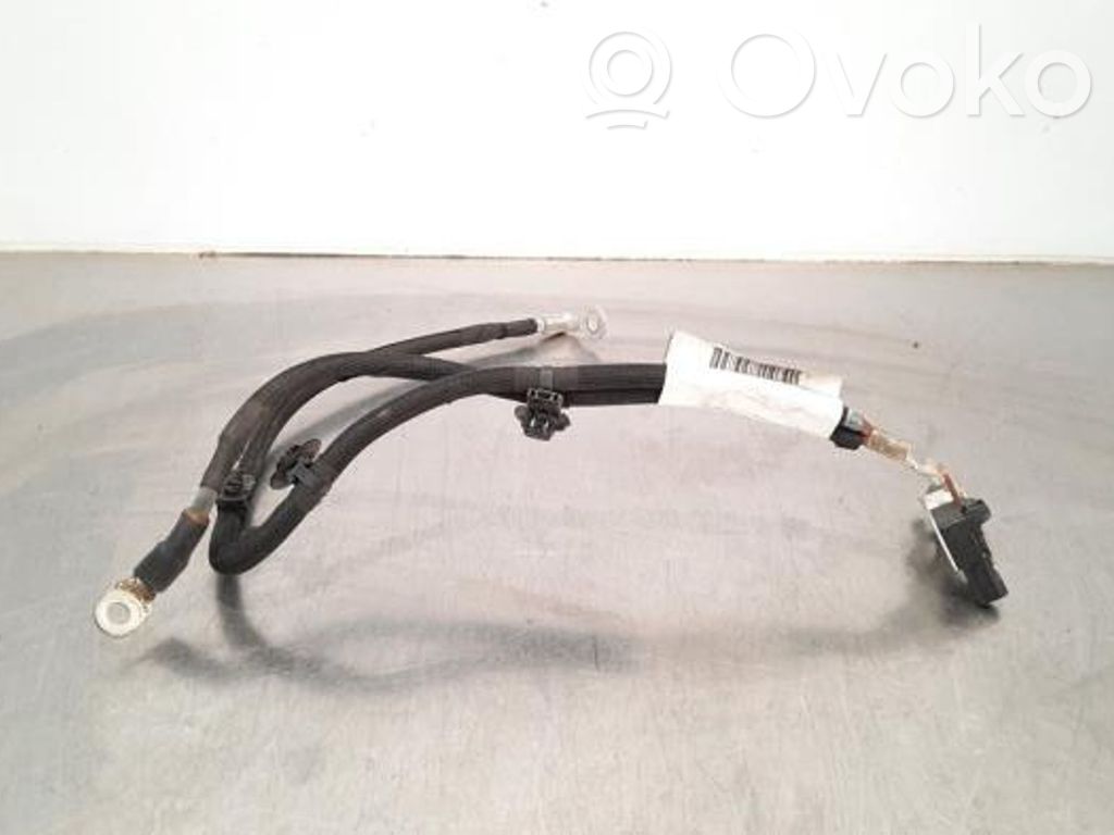 Citroen C3 Aircross Cavo negativo messa a terra (batteria) 