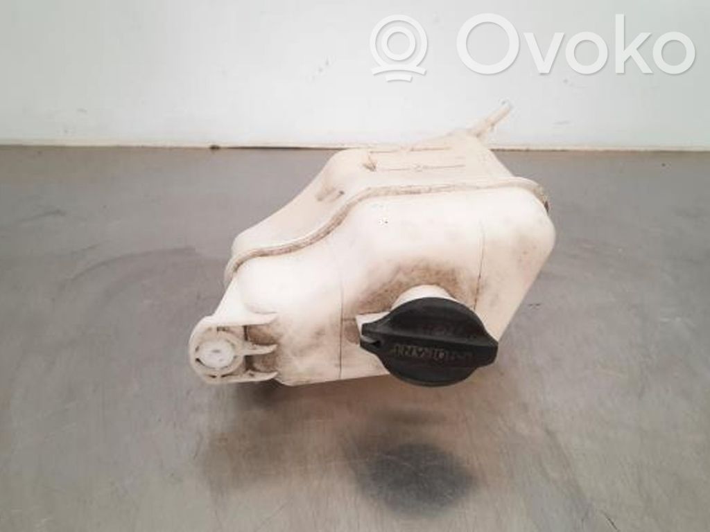 Hyundai Santa Fe Serbatoio di compensazione del liquido refrigerante/vaschetta