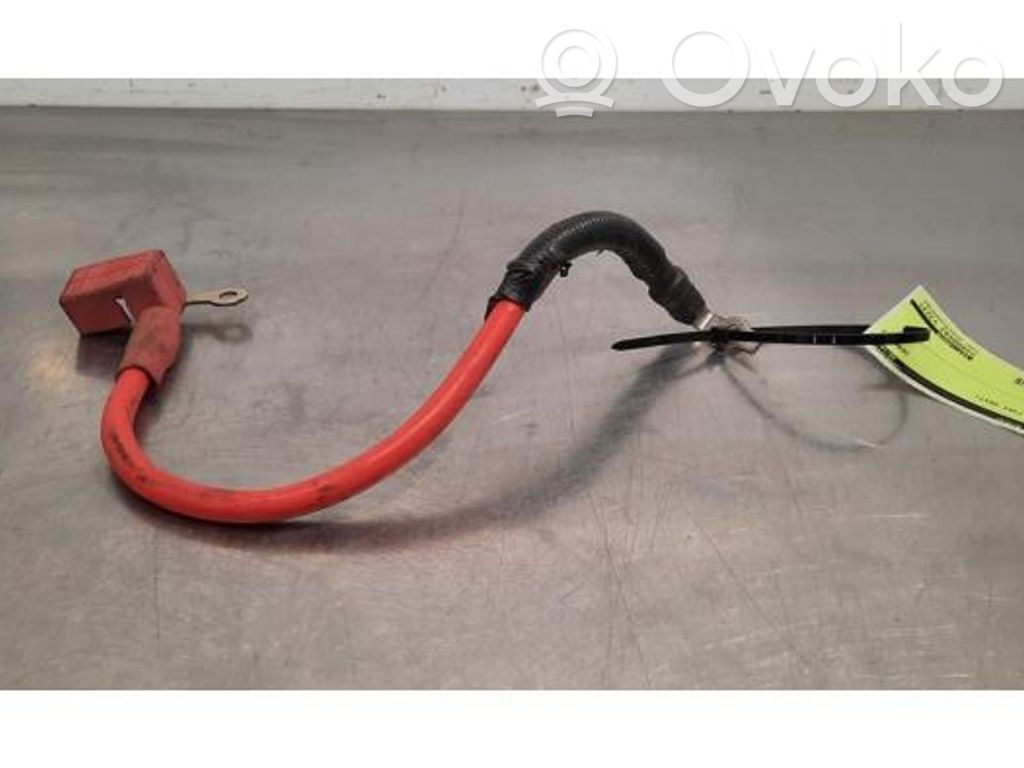 Ford Ranger IV Cable negativo de tierra (batería) 