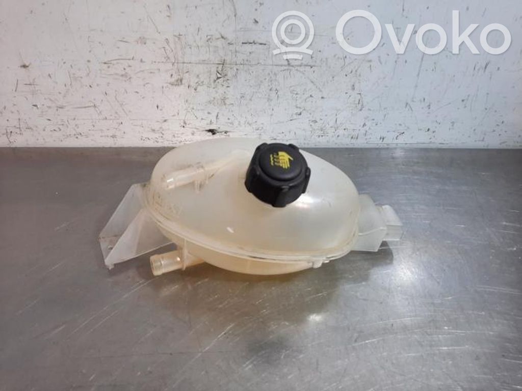 Renault Master III Serbatoio di compensazione del liquido refrigerante/vaschetta