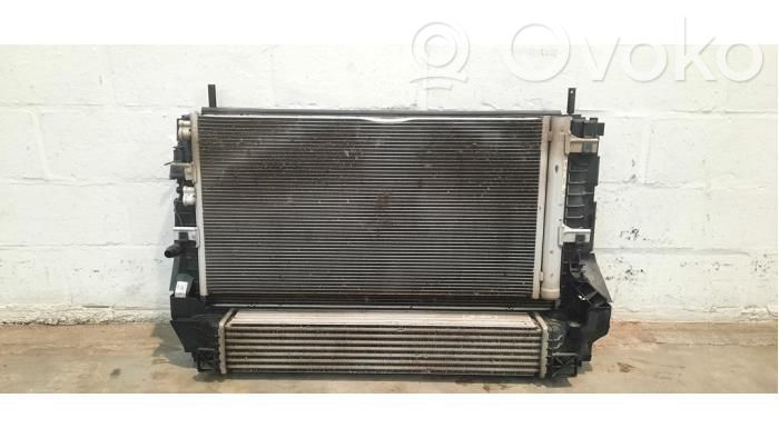 Radiator set   7636070,1711864563804,1742864586105,1751864576101,6450927120506