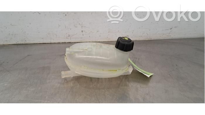 Renault Arkana Serbatoio di compensazione del liquido refrigerante/vaschetta