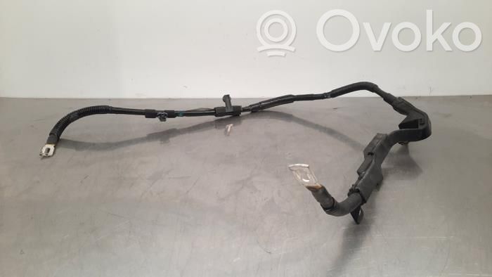 Negative earth cable (battery)