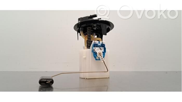 Citroen C4 II Bomba interna de combustible 