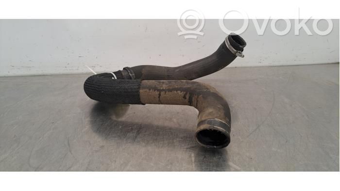 Peugeot Expert Tubo flessibile intercooler 