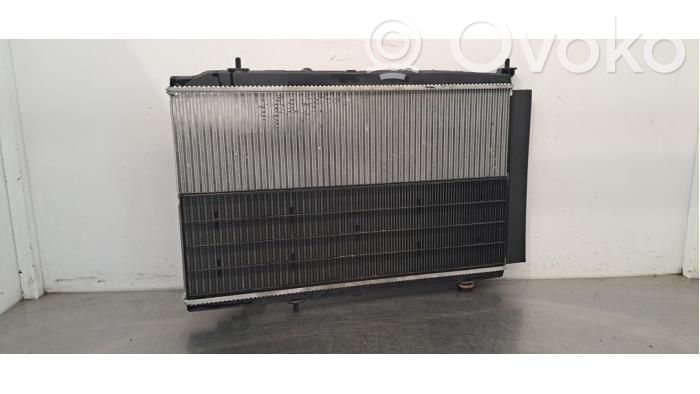 Peugeot 208 II Radiator lichid răcire 