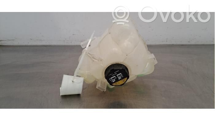 Volvo V60 Serbatoio di compensazione del liquido refrigerante/vaschetta