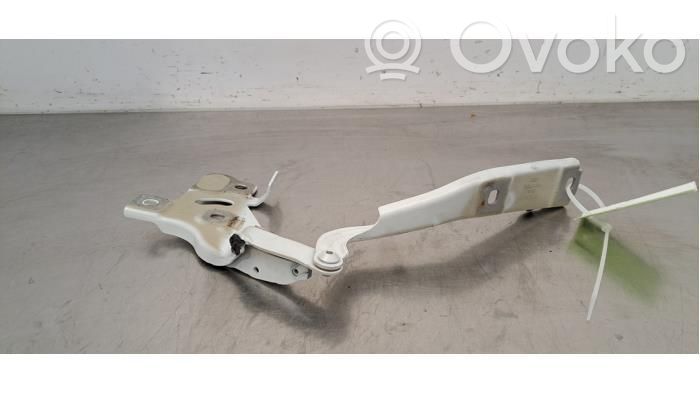 Audi e-tron Engine bonnet/hood hinges 