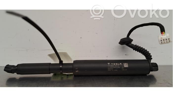 Tesla Model 3 Tailgate strut 