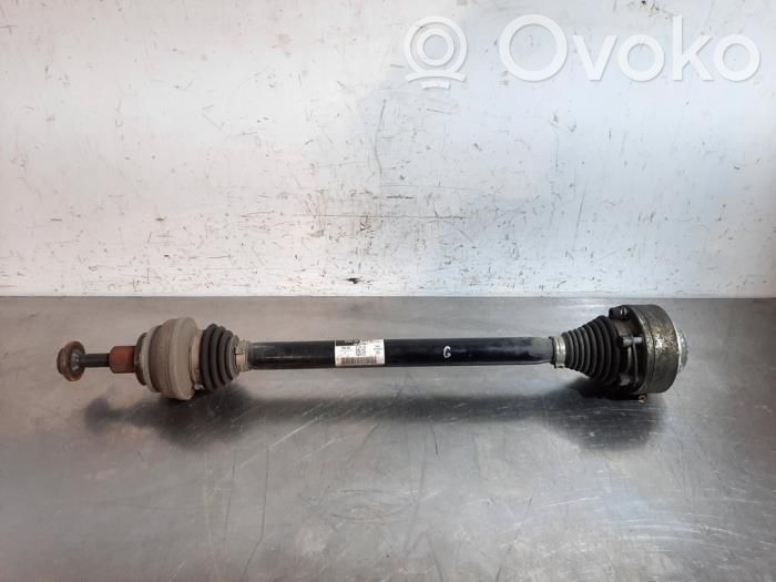 Audi A4 S4 B9 8W Albero di trasmissione posteriore