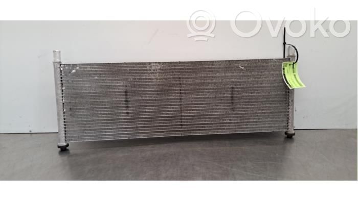 Radiator lichid răcire   104849800C
