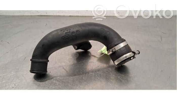 Ford Transit Furtun/conductă intercooler 
