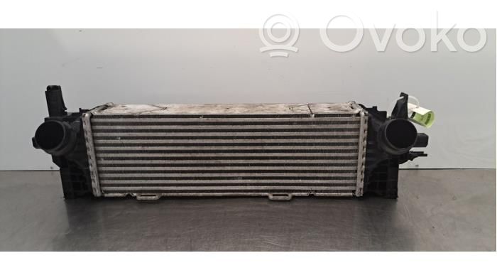 BMW X5 G05 Chłodnica powietrza doładowującego / Intercooler 