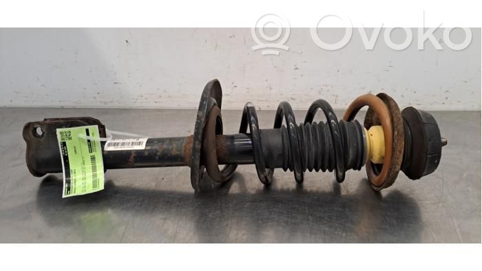 Stoßdämpfer vorne   543023778R