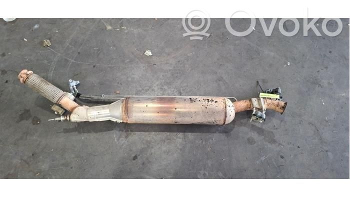 Peugeot Expert Filtru de particule catalizator/FAP/DPF 