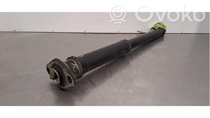 Stoßdämpfer hinten   10924058