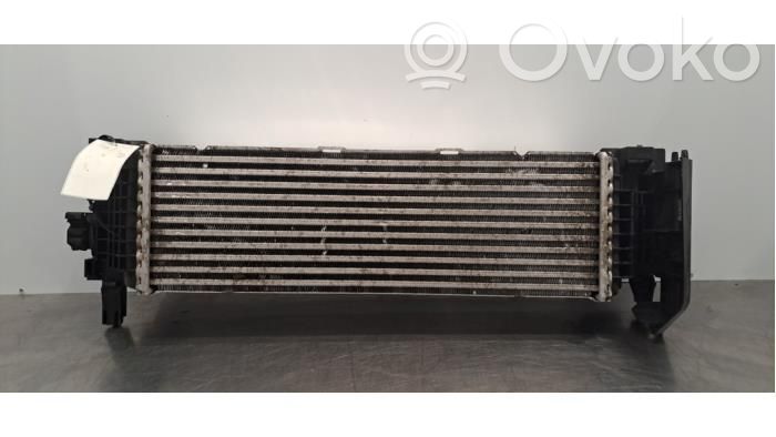 BMW X5 G05 Chłodnica powietrza doładowującego / Intercooler 