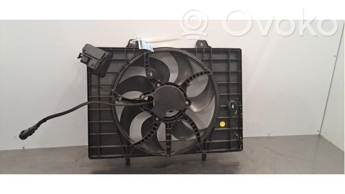 Citroen e-C3 Fan set 