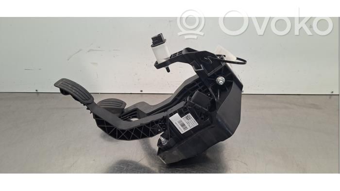 Pedal assembly   9846496480,9837892280