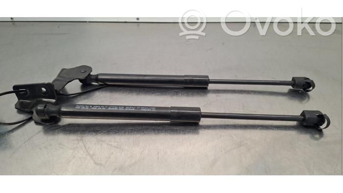 Citroen e-C3 Tailgate/trunk strut/damper 