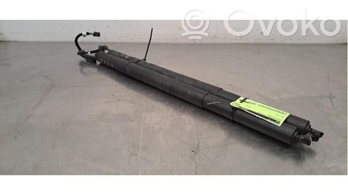 Audi Q3 F3 Tailgate/trunk strut/damper 