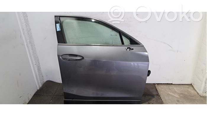 Puerta delantera   6700179085,6700179115