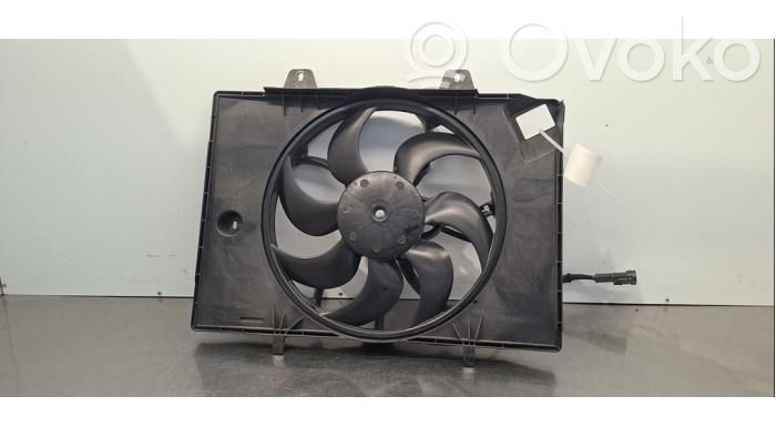 Citroen e-C3 Fan set 